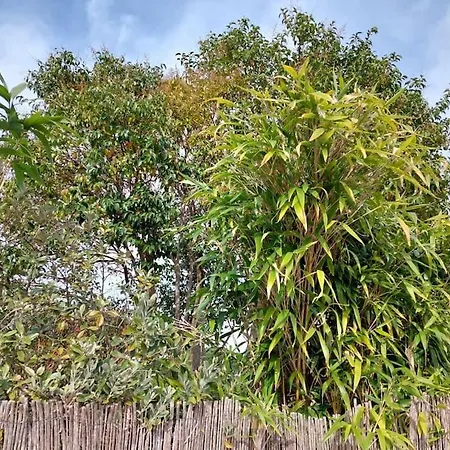 Maison Gamine Mit Privatem Pool 度假居 孔格林